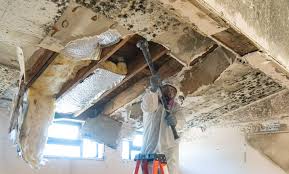 Best Mold Remediation for Healthcare Facilities in Millersburg, PA